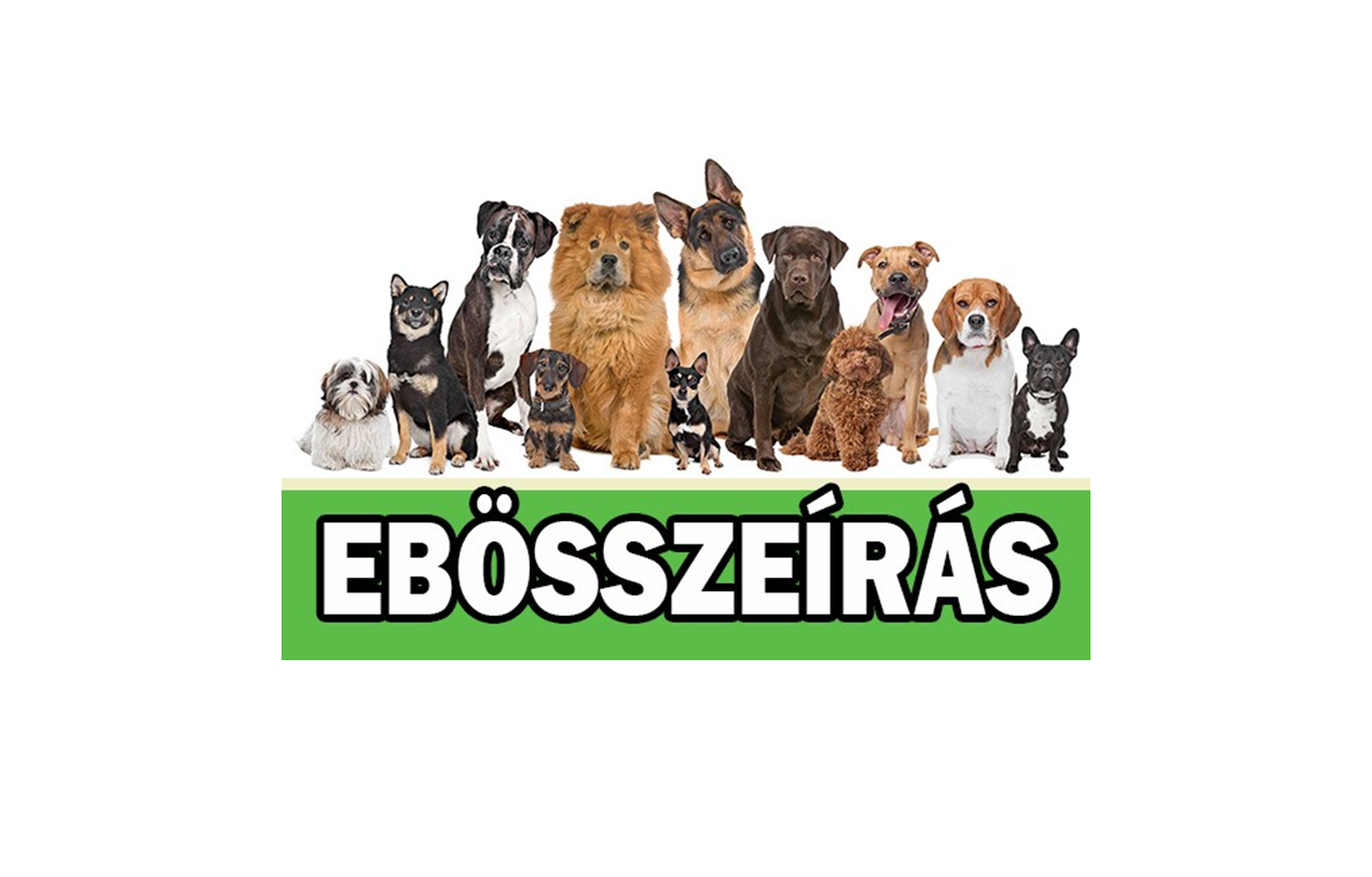 Kisnémedi Község Önkormányzat Ebnyilvántartó