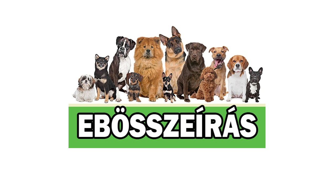 Kisnémedi Község Önkormányzat Ebnyilvántartó